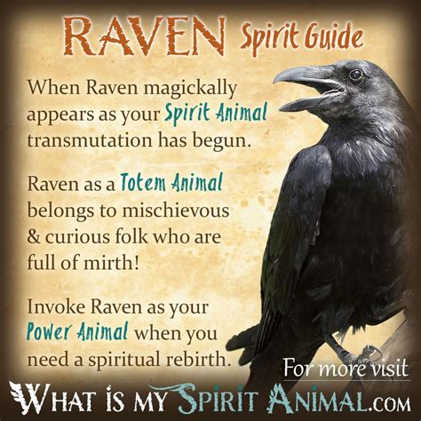 Raven Symbolism & Meaning | Raven Spirit, Totem, & Power Animal | Animal totem spirit guides ...