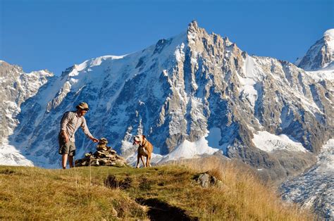 Hiking buddies in Chamonix #hiking #camping #outdoors #nature #travel #backpacking #adventure # ...