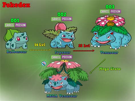 Tree of Evolution: Bulbasaur by MawileXY on DeviantArt