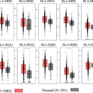 Expression levels of human leukocyte antigen (HLA) class Ⅱ genes in ...