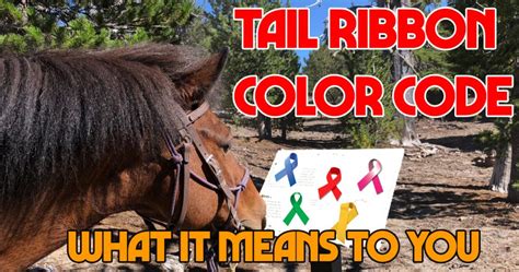 Tail Ribbons – Clarify the Color Code - TrailMeister