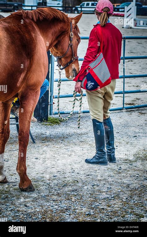 Horse show competition Stock Photo - Alamy