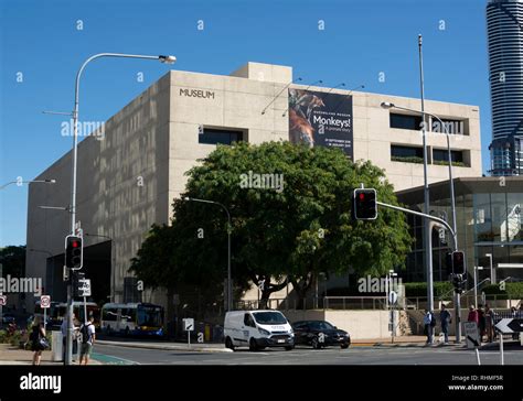 Queensland Museum, Brisbane, Queensland, Australia Stock Photo - Alamy