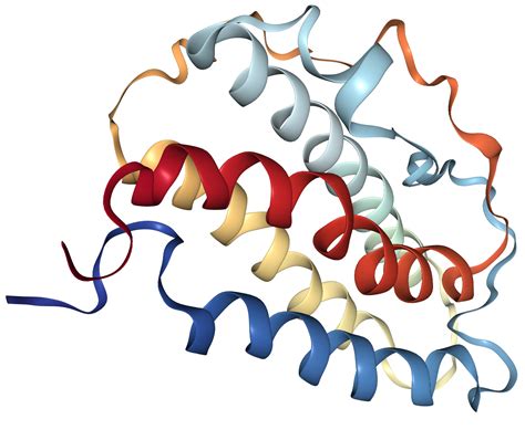 Erythropoietin/EPO Protein Overview | Sino Biological