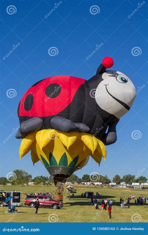 Reno Balloon Race editorial photography. Image of inflating - 134585162