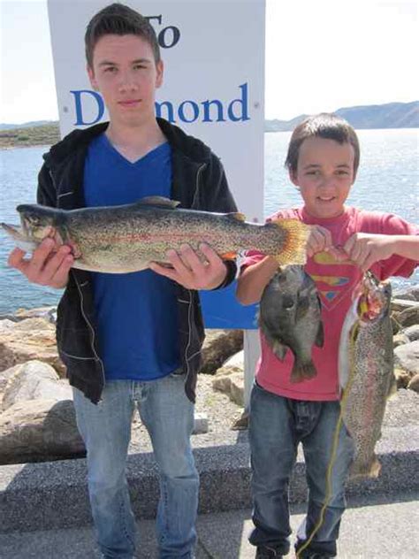 Diamond Valley Lake Fish Report - Hemet, CA (Riverside County)