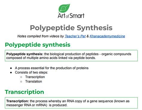 Protein Synthesis Flow Chart