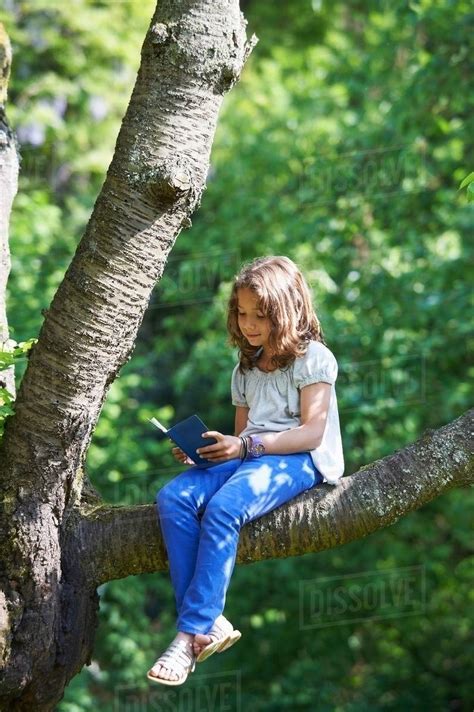 Girl reading in tree outdoors - Stock Photo - Dissolve