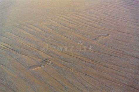 Beach Sand Background. Footprints in the Sand. Stock Image - Image of border, empty: 54736547