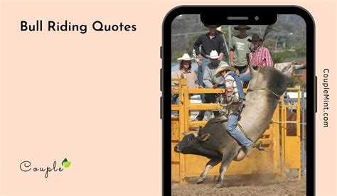 150+ Famous Bull Riding Quotes To Inspire Your Next Ride