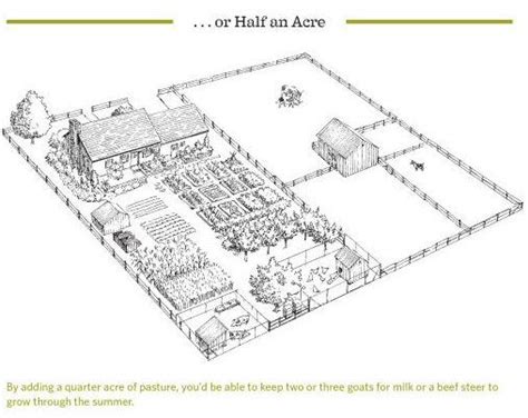 Permaculture Quarter Acre - permaculture design