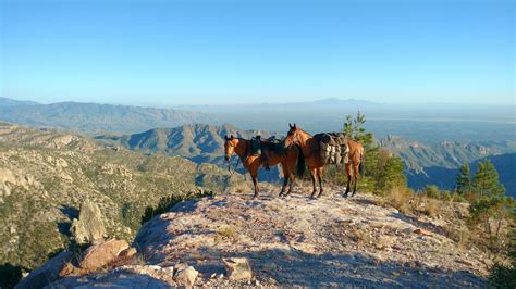 Sabino Canyon | Gillian Larson