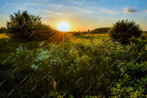 Premium Photo | Beautiful sunrise in the field