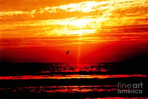 Sunset at Mission Beach Photograph by Duncan Rose - Fine Art America