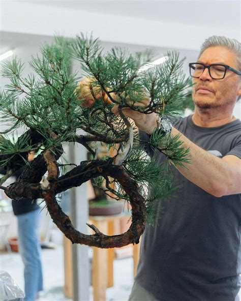 Sergio Cuan Bonsai Workshop, Callanwolde Fine Arts Center, Atlanta, 2 November 2024 | AllEvents.in