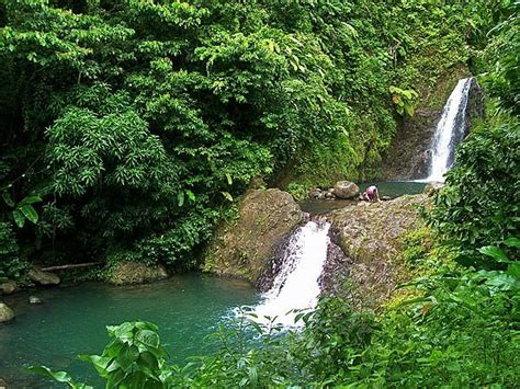 Seven Sisters Waterfall Grenada | Waterfall, Waterfall hikes, Grenada