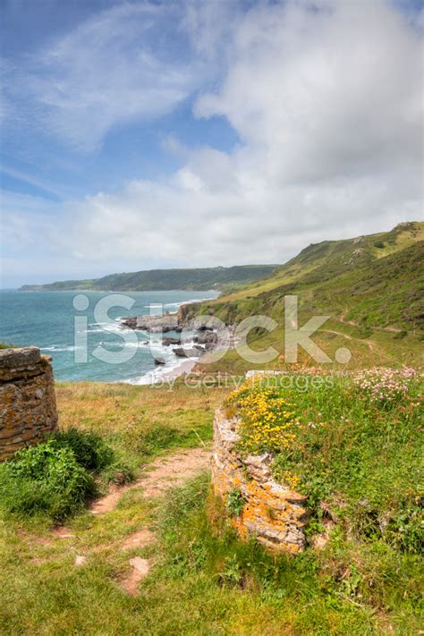 Devon Coastline In Spring Stock Photo | Royalty-Free | FreeImages