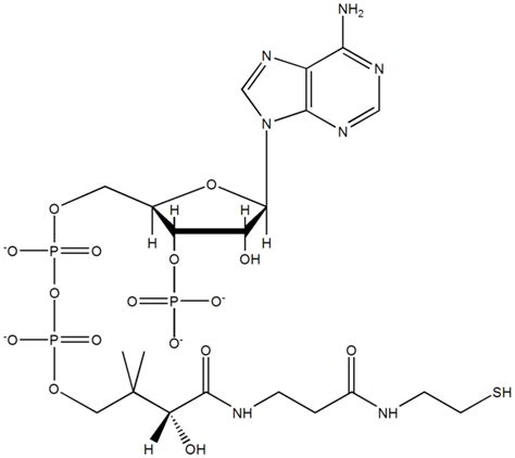 Coenzyme - wikidoc