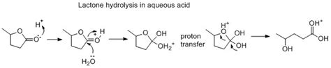 Why does ring opening reaction (of lactones) often follow nucleophilic pathway and not ...