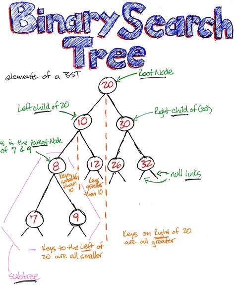 Data Structures 101: Binary Search Tree – freeCodeCamp.org