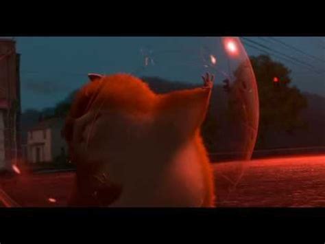 "Destiny?" - Rhino the Hamster (Bolt movie) - YouTube | Hamster, Dreamworks, Horses