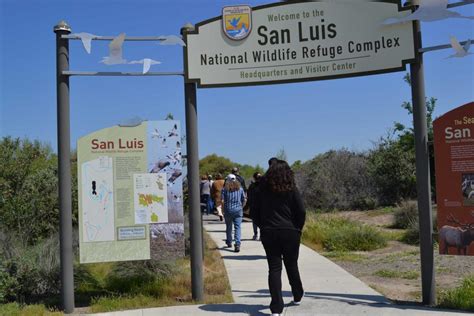 Explore Diverse Wildlife Habitat on Central Valley Tour March 14-16 ...