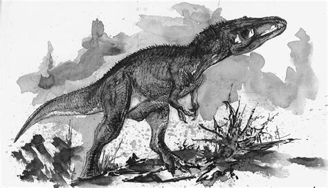 Eocarcharia Pictures & Facts - The Dinosaur Database