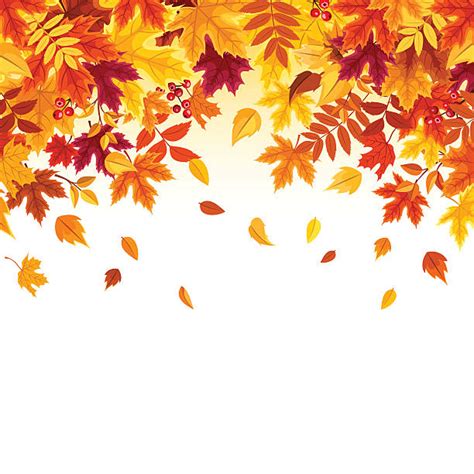 Best Fall Leaves Illustrations, Royalty-Free Vector Graphics & Clip Art ...