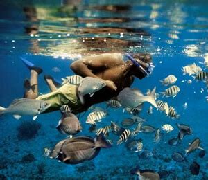 Cabo Snorkeling | Cabo San Lucas Snorkeling