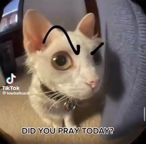 DID YOU PRAY TODAY - iFunny