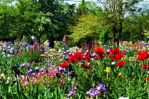 a garden filled with lots of colorful flowers and greenery next to some trees on a sunny day