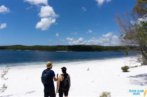 Pack-free Camping: Lake McKenzie Eco Walk - 2 Days - Fraser Dingo 4wd Adventures Reservations