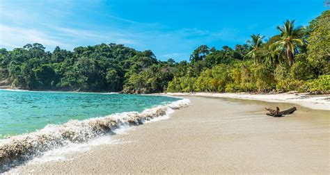 Manuel Antonio Beach: What to Know | Insider Families