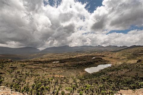 Mount Elgon Trekking Expedition - Lets summit Wagagai Peak