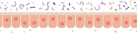 Healhy Epithelial cell seamless border, science and medical biology. Microbiology structure ...