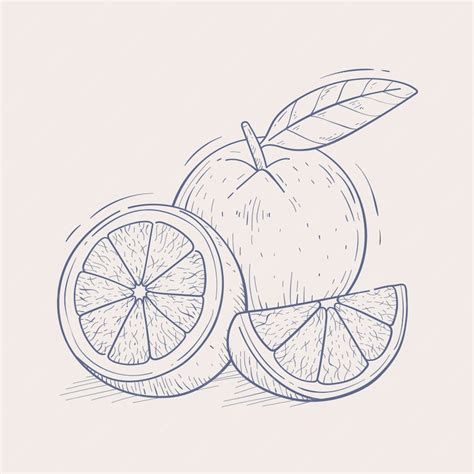 Free Vector | Hand drawn orange outline illustration