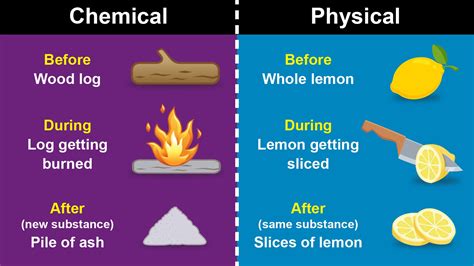 Physical And Chemical Change