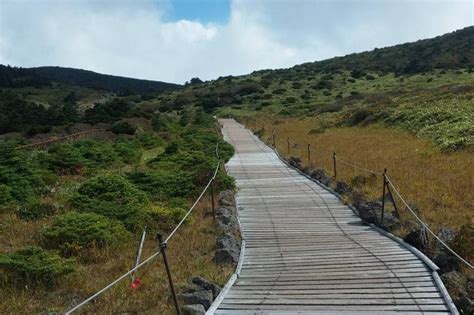 Hallasan National Park [UNESCO World Heritage] | 한라산국립공원 [유네스코 세계자연유산 ...