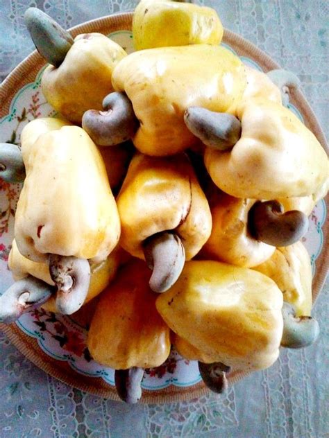 Cashew fruit/kasoy fruit | Food, Cashew, Vegetables