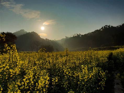 Wuyuan: On the flower trail | Big On Trips