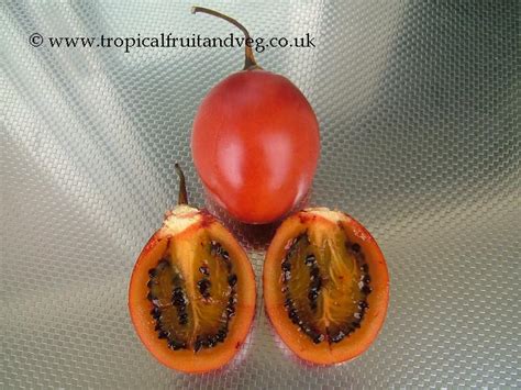 tropicalfruitandveg.com | About Tamarillo