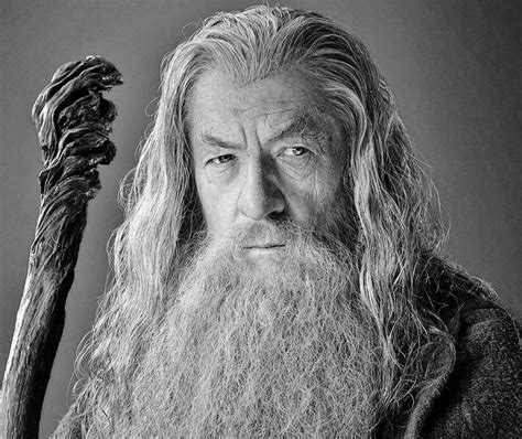 Lord Of The Rings Gandalf the Grey | Gandalf the grey, Lord of the ...