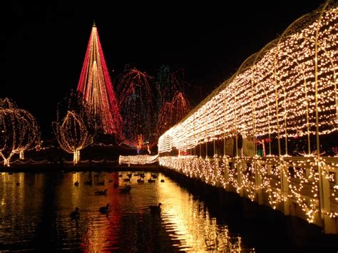 Festival of Lights Chickasha, OK | Festival lights, Oh the places youll ...