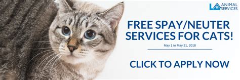 Free Spay/Neuter Certificates for Cats All May! – Empower LA