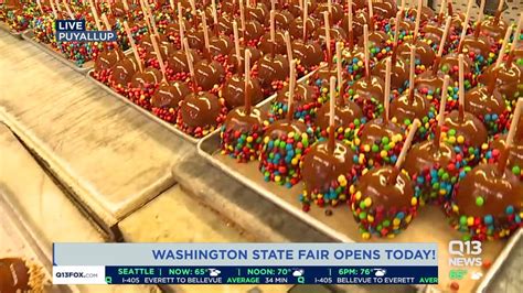 Food at the Washington State Fair - YouTube