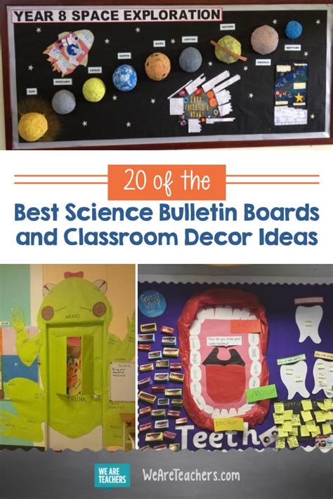 20 of the Best Science Bulletin Boards and Classroom Decor Ideas