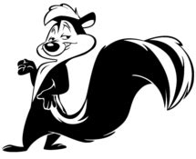 Skunk - WikiFur, the furry encyclopedia