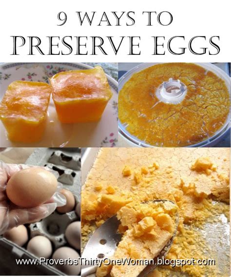 9 Ways to Preserve Eggs - Proverbs 31 Homestead