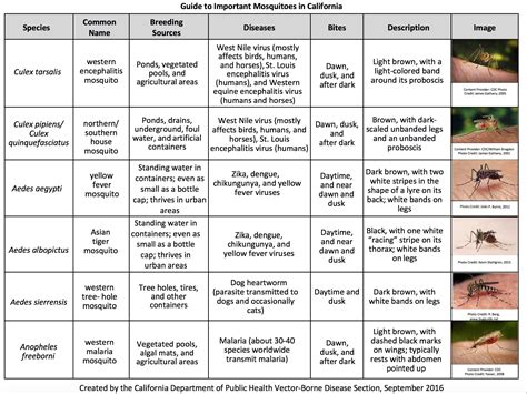 San Joaquin County Mosquito and Vector Control District > Mosquitoes ...