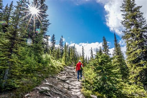 Bald Hills Hike in Jasper National Park